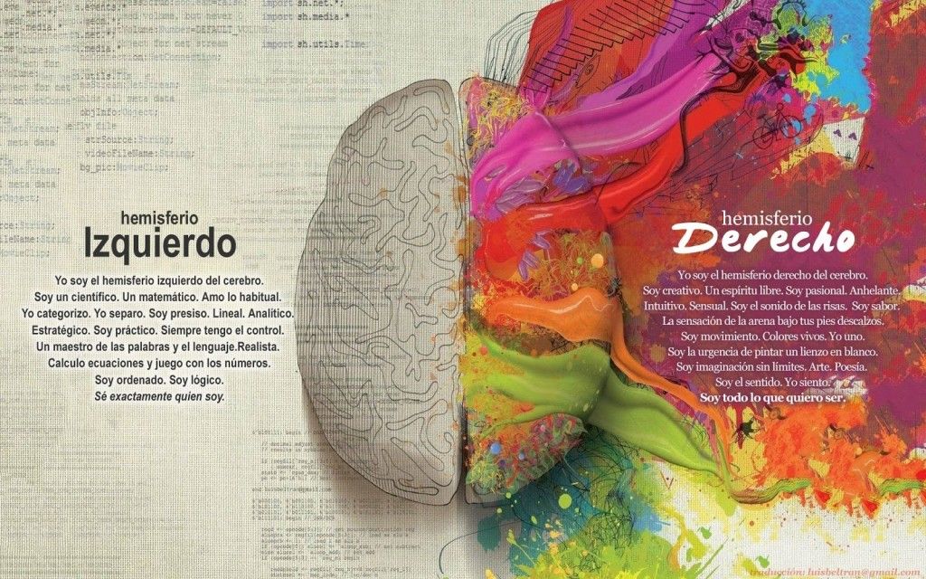hemisferios del cerebro